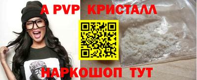 СК Шелехов