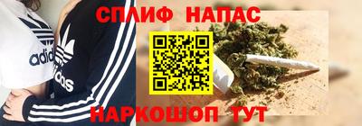 СК Шелехов