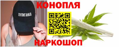 СК Шелехов
