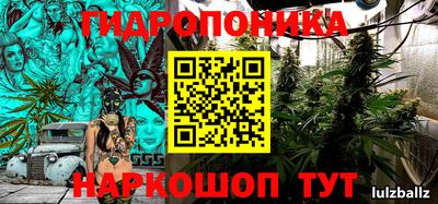 СК Шелехов
