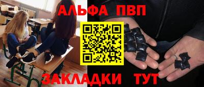 СК Шелехов