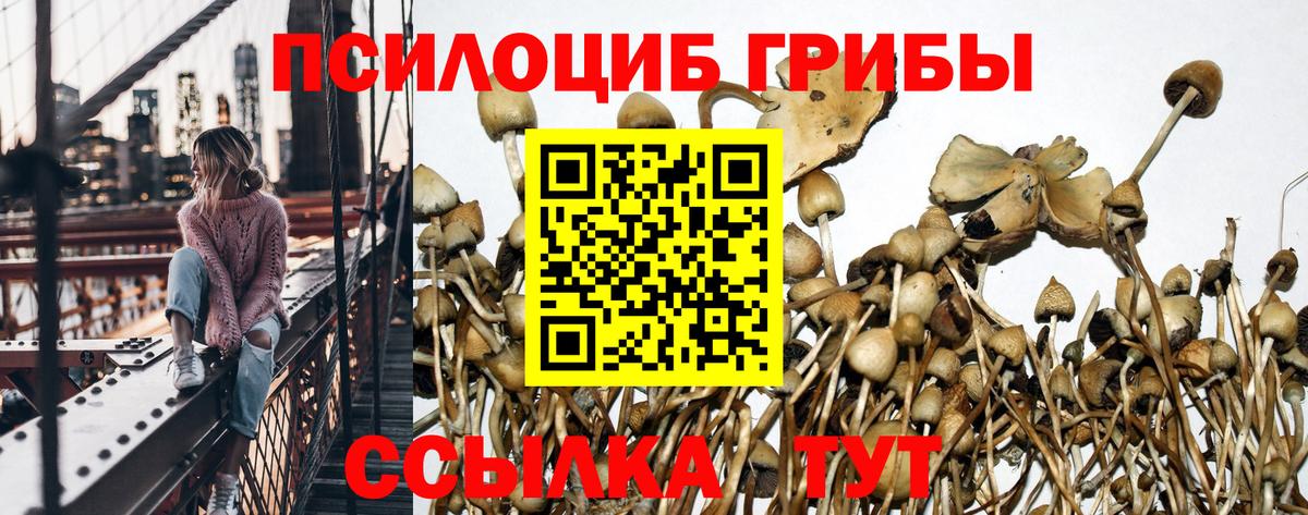Галлюциногенные грибы Cubensis  Вход с VPN  Богородицк 