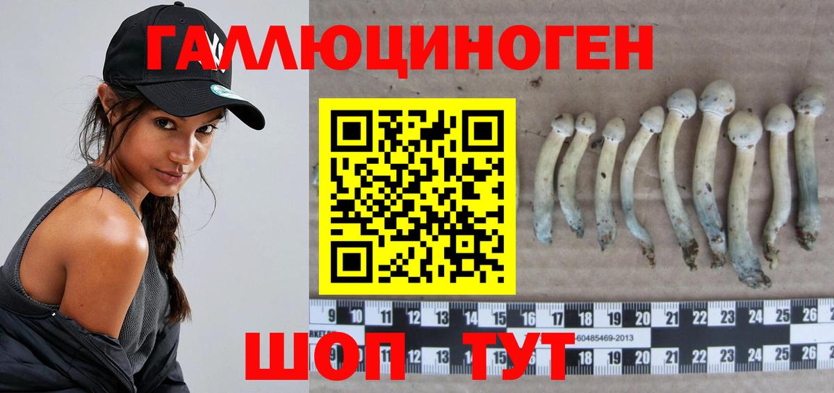 Метадон Богородицк